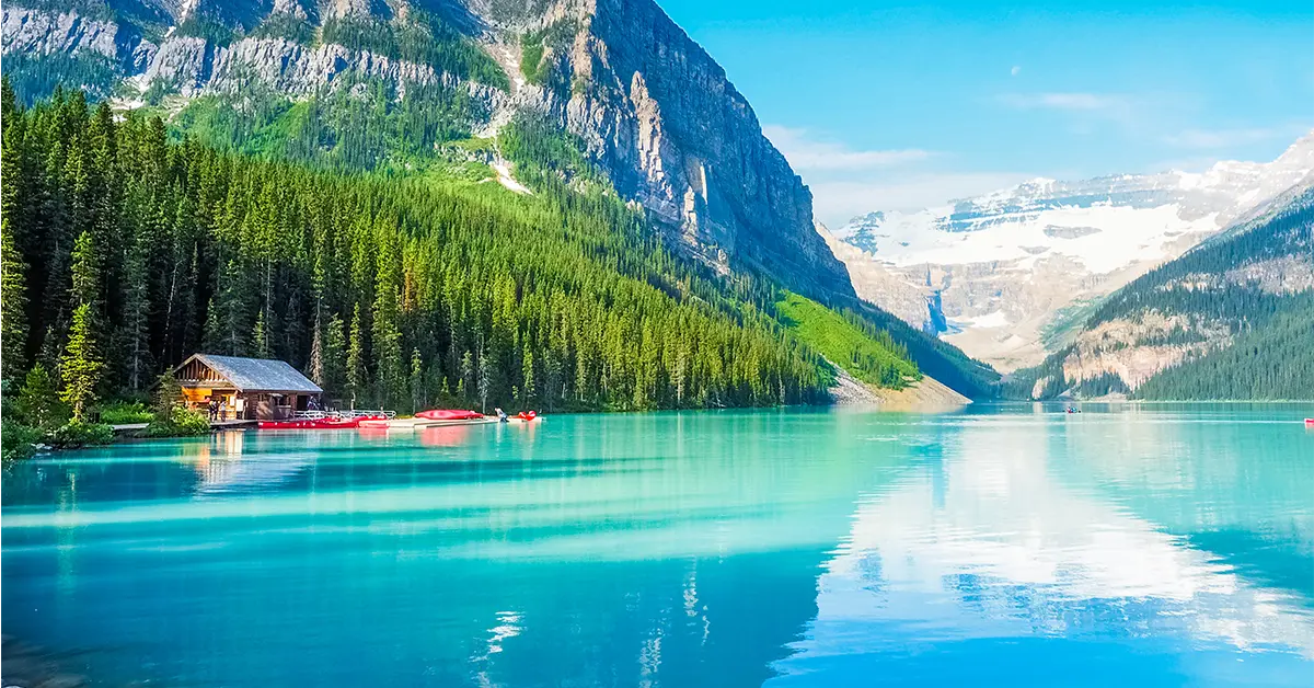 Chương trình đề cử tỉnh bang Alberta (AAIP)