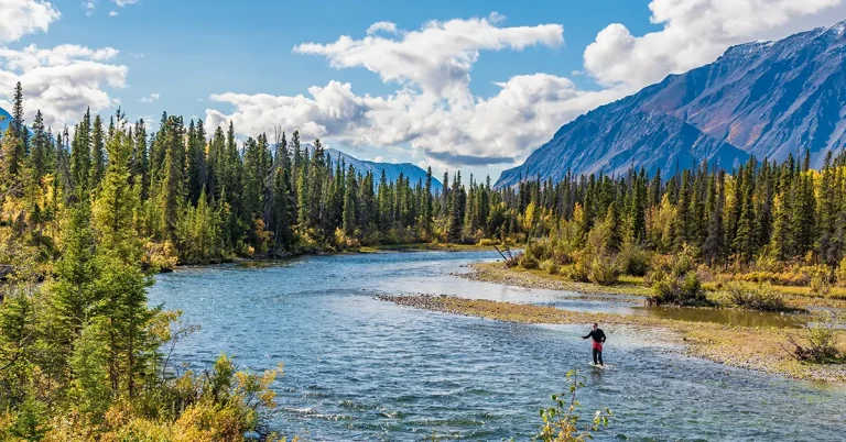 Chương trình đề cử vùng lãnh thổ Yukon (YNP)