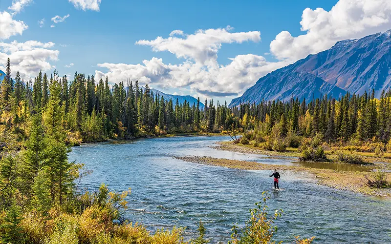 Một người đang câu cá ở Yukon, Canada vào mùa thu với những ngọn núi tuyệt đẹp ở phía sau