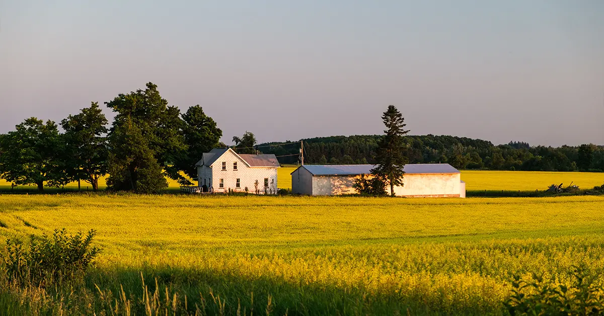 Chương trình thí điểm nhập cư nông nghiệp - thực phẩm (AFIP) tồn tại để cung cấp cho người lao động nước ngoài một lộ trình đến thường trú Canada.