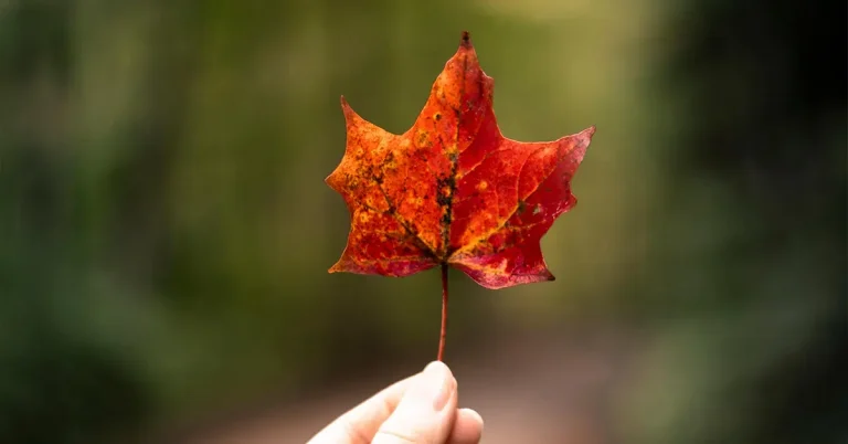 Chương trình bảo lãnh cha mẹ, ông bà (PGP) là một sáng kiến giúp công dân và thường trú nhân Canada bảo lãnh cha mẹ, ông bà của họ đến sinh sống tại Canada.