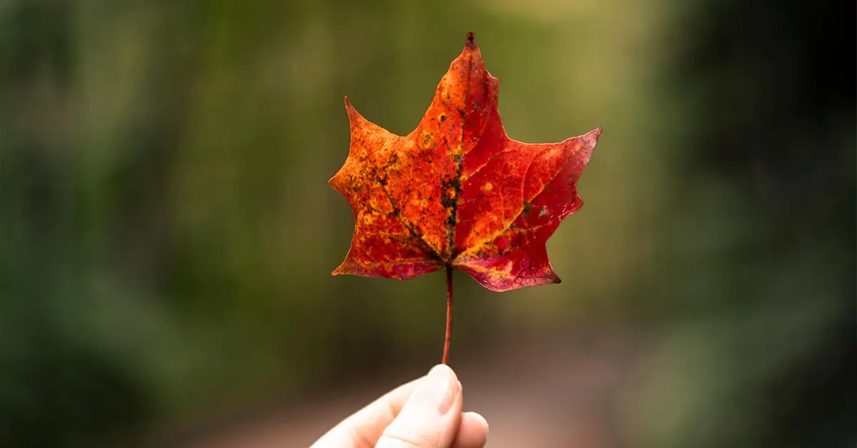 Chương trình bảo lãnh cha mẹ, ông bà (PGP) là một sáng kiến giúp công dân và thường trú nhân Canada bảo lãnh cha mẹ, ông bà của họ đến sinh sống tại Canada.