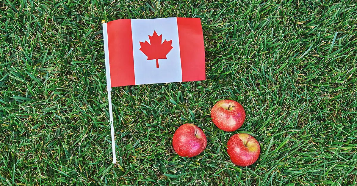 Cờ Canada và những trái táo nằm trên bãi cỏ tượng trưng cho ngành nông nghiệp phát triển mạnh mẽ của Canada.