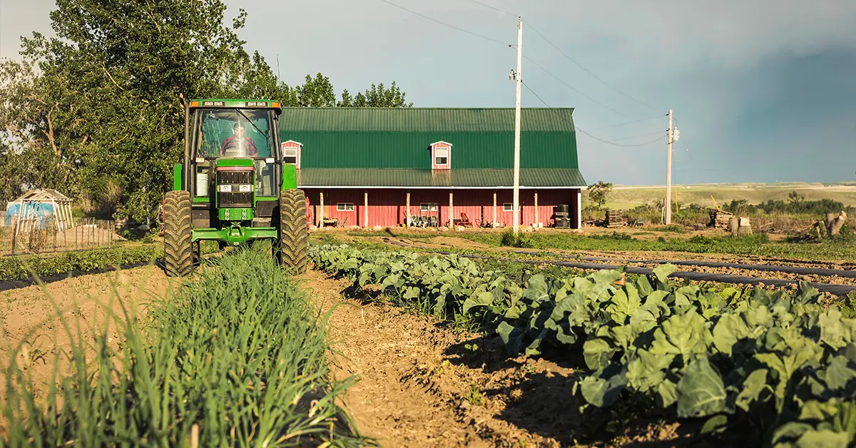 Thông qua Dòng doanh nhân nông thôn (Rural Entrepreneur Stream), các doanh nhân đủ điều kiện muốn khởi nghiệp mới hoặc tiếp quản một doanh nghiệp hiện có tại một cộng đồng nông thôn tỉnh bang Alberta có thể nhận được đề cử tỉnh bang từ Alberta.