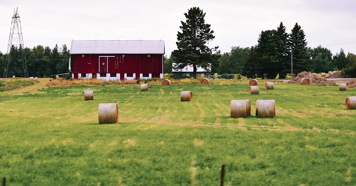 Chương trình đề cử tỉnh bang Alberta (AAIP) dòng doanh nhân nông trại Alberta (Alberta Farm Stream) nhằm thu hút các chủ nhà điều hành nông trại.