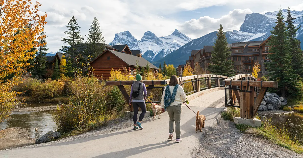 Dòng đổi mới nông thôn Alberta (Rural Renewal Stream) thuộc Chương trình đề cử tỉnh bang Alberta được thiết kế để thu hút người mới đến các cộng đồng nông thôn tỉnh bang Alberta.