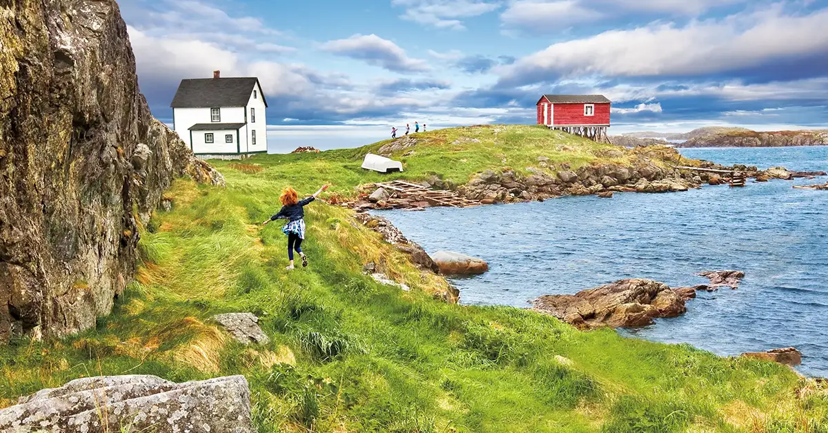 NLPNP Lao động tay nghề