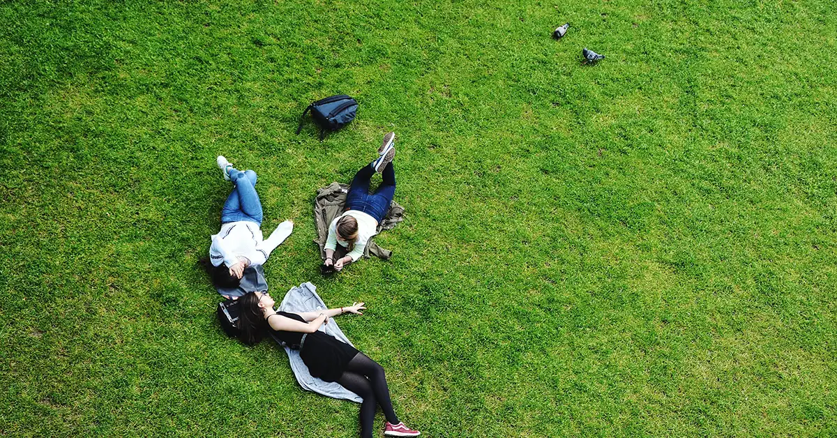 NLPNP Tốt nghiệp quốc tế