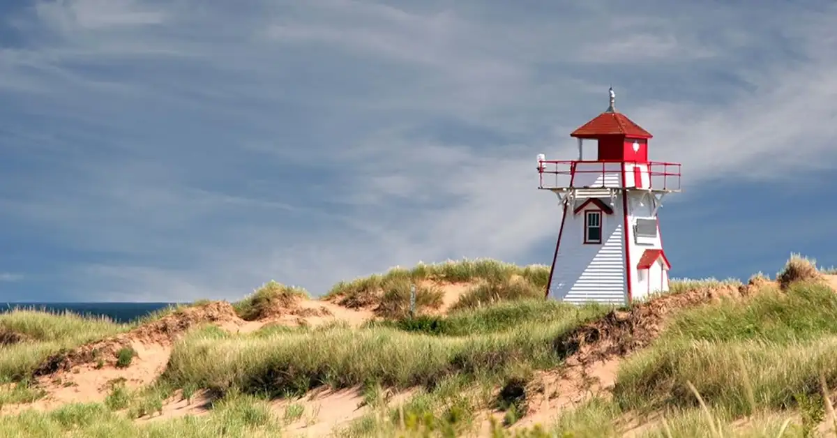 PEI PNP Tác động lao động