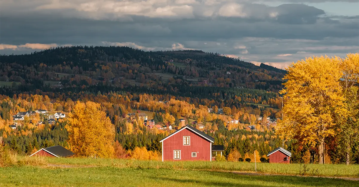 SINP Chủ hoặc điều hành trang trại