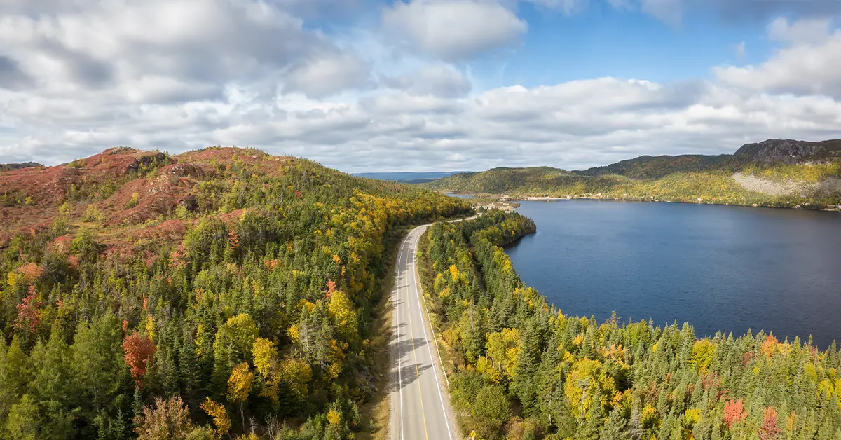 Di chuyển đến biên giới Canada là một hành trình dài và nếu bị từ chối nhập cảnh sẽ gây ra nhiều điều khó chịu