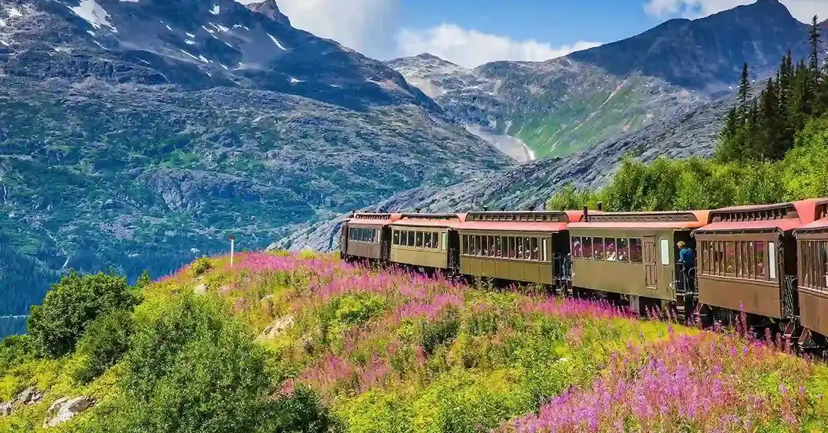 YNP Express Entry (YEE)