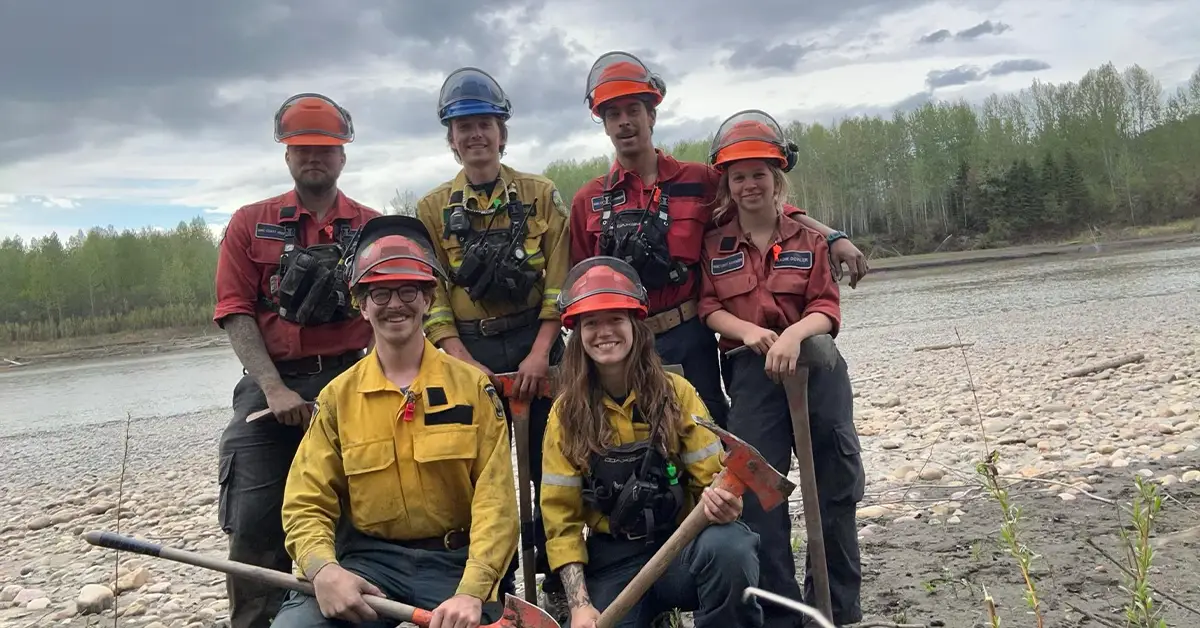 YNP Lao động tác động thiết yếu