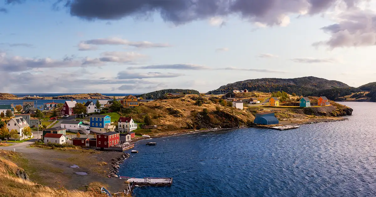 Chương trình đề cử tỉnh bang Newfoundland and Labrador (NLPNP) đã hoạt động từ năm 1999. Đây là một trong những chương trình đề cử tỉnh bang (PNP) đầu tiên được triển khai.