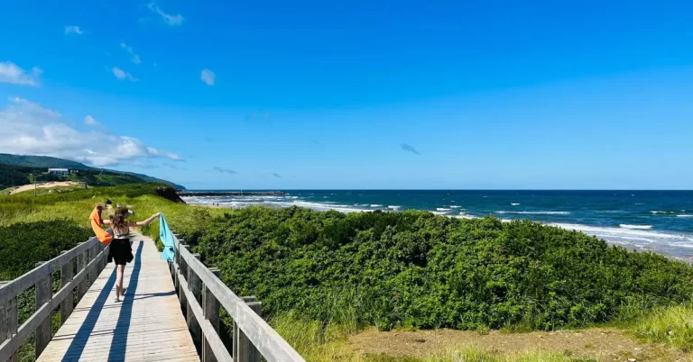 Hệ thống bày tỏ nguyện vọng (EOI) Nova Scotia