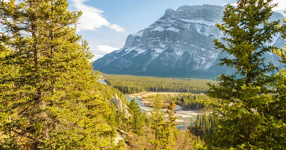 Chỉ còn 11% ứng viên Express Entry có điểm CRS trên 500