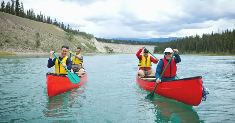 Kết quả Express Entry #381