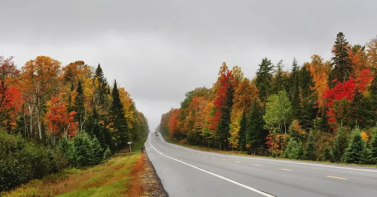 Người sở hữu visa H-1B Hoa Kỳ sẽ có lộ trình thay thế tại Canada