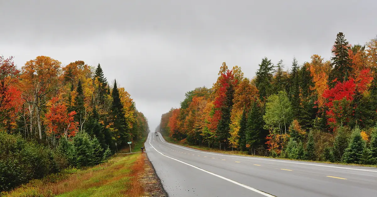 Người sở hữu visa H-1B Hoa Kỳ sẽ có lộ trình thay thế tại Canada