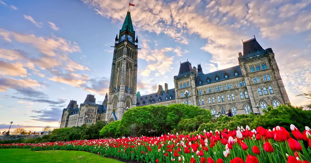 Phân tích kế hoạch nhập cư 2026 - 2028