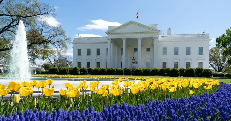 Sự thật về người nhập cư Hoa Kỳ và lợi ích Chính phủ