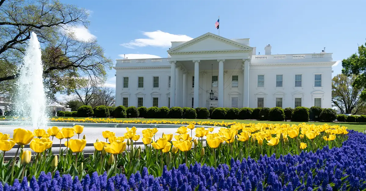 Sự thật về người nhập cư Hoa Kỳ và lợi ích Chính phủ