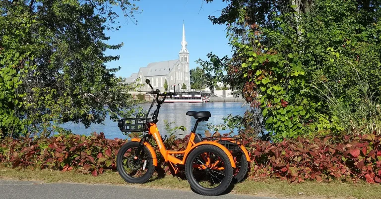 Kết quả Express Entry #384