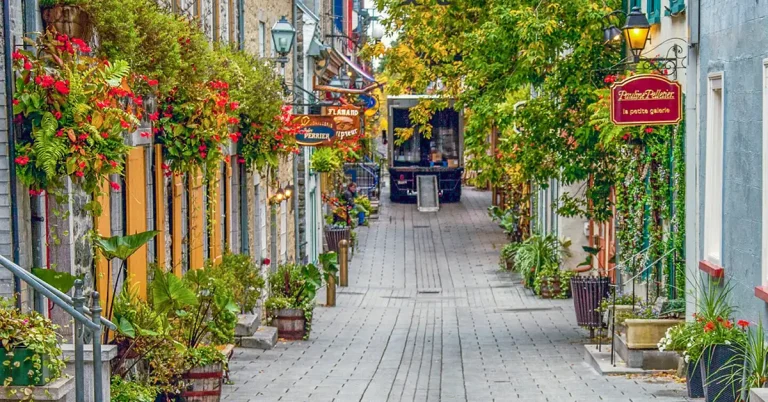 Quebec cấp 6 thư mời Arrima sau sự cố hệ thống trong vòng lựa chọn bị trì hoãn