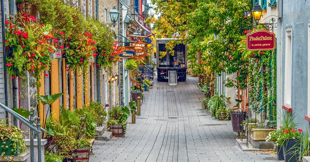 Quebec cấp 6 thư mời Arrima sau sự cố hệ thống trong vòng lựa chọn bị trì hoãn