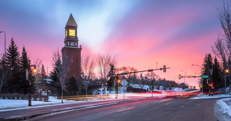 AAIP phát hành hàng trăm thư mời qua 6 đợt công bố trong tháng 022026