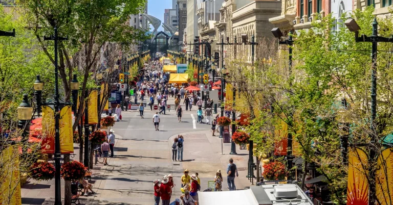 AAIP phát hành hơn 1100 lời mời trong 4 đợt công bố kết quả