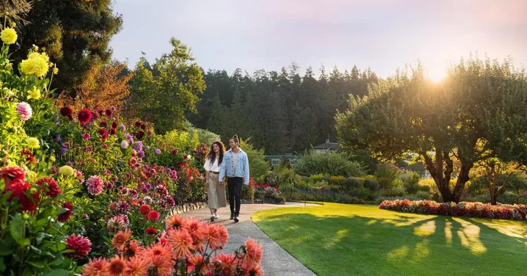 BCPNP phát hành hơn 400 thư mời nộp đơn trong 2 đợt liên tiếp