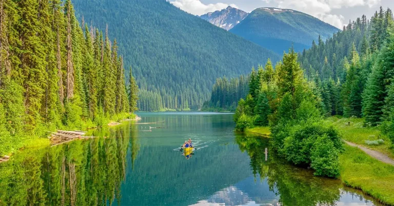 BC PNP mời doanh nhân qua 2 dòng trong đợt công bố tỉnh bang mới nhất