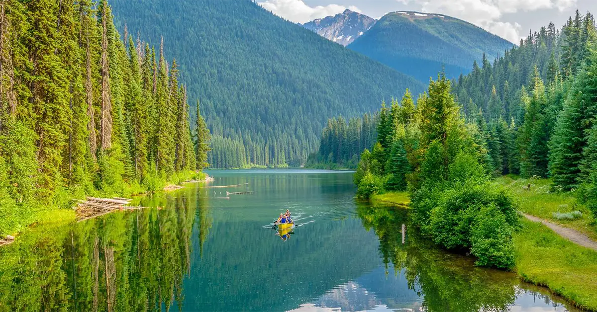 BC PNP mời doanh nhân qua 2 dòng trong đợt công bố tỉnh bang mới nhất