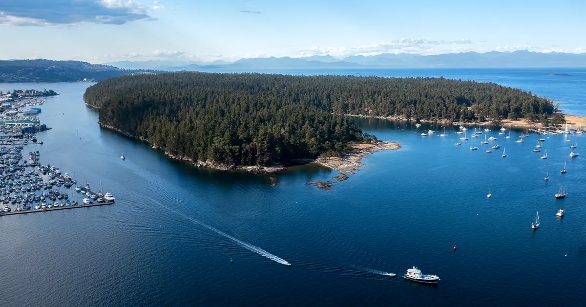 Kết quả Express Entry #399