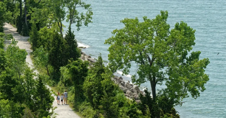 Kết quả Express Entry #403