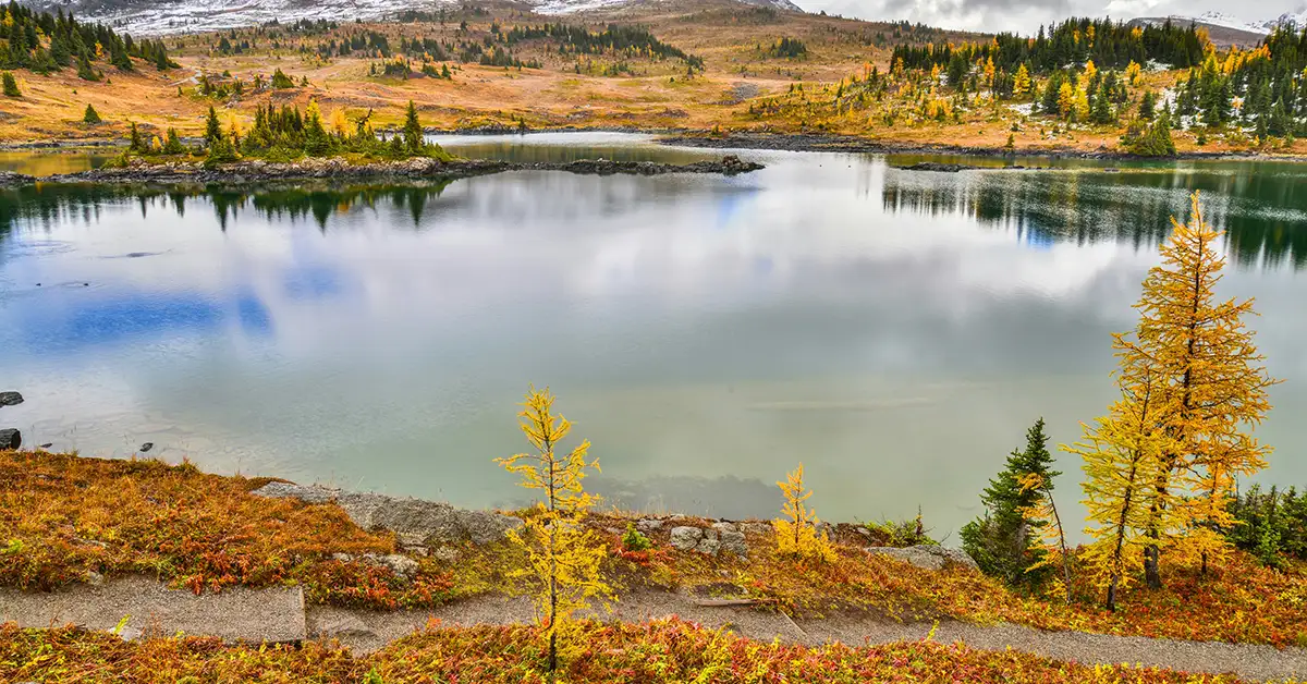 Kết quả Express Entry #404