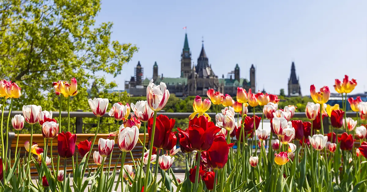 Canada Day – Ngày Quốc Khánh Canada