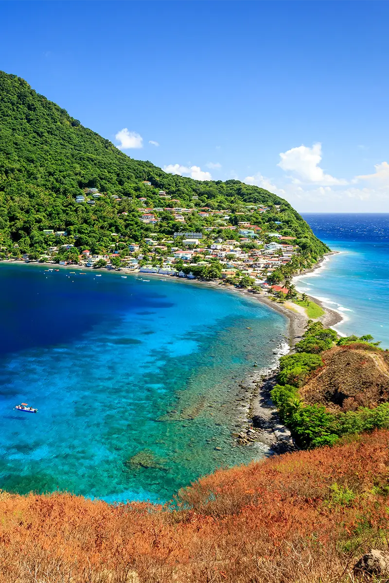 Đầu tư quốc tịch Dominica - Quyền lợi