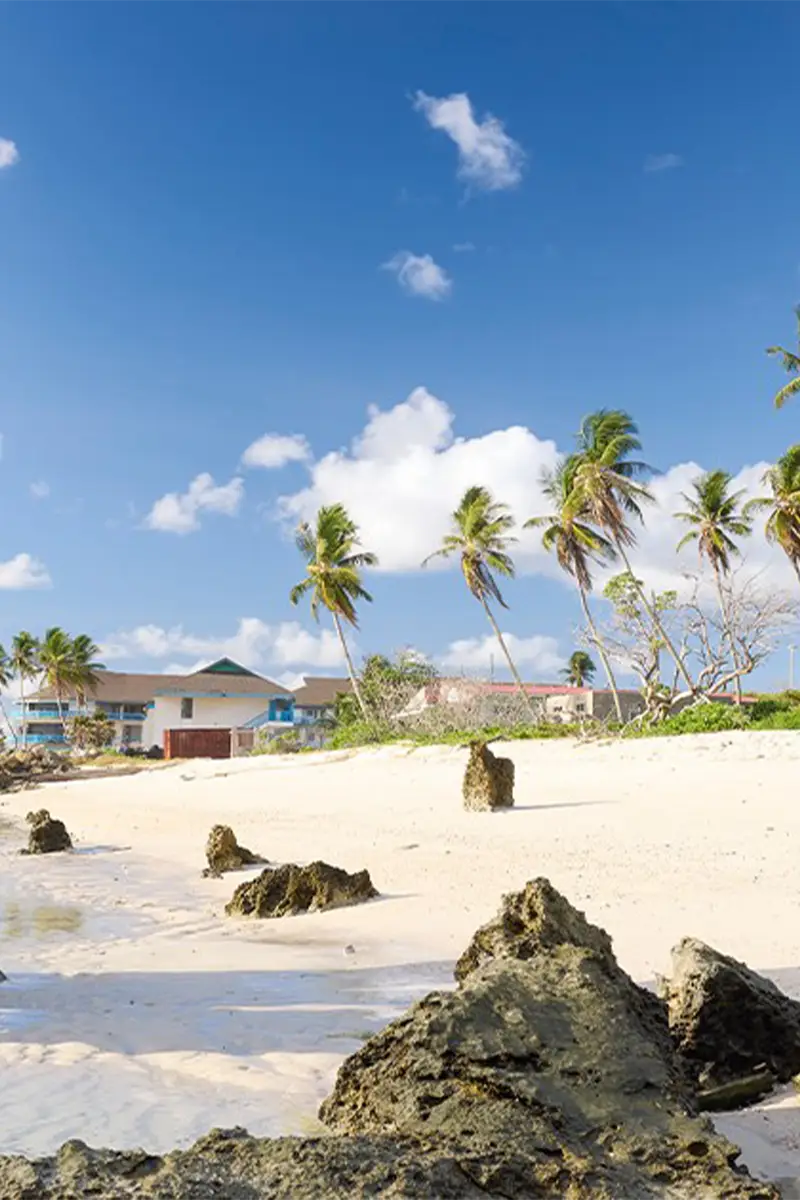 Đầu tư quốc tịch Nauru - Quyền lợi