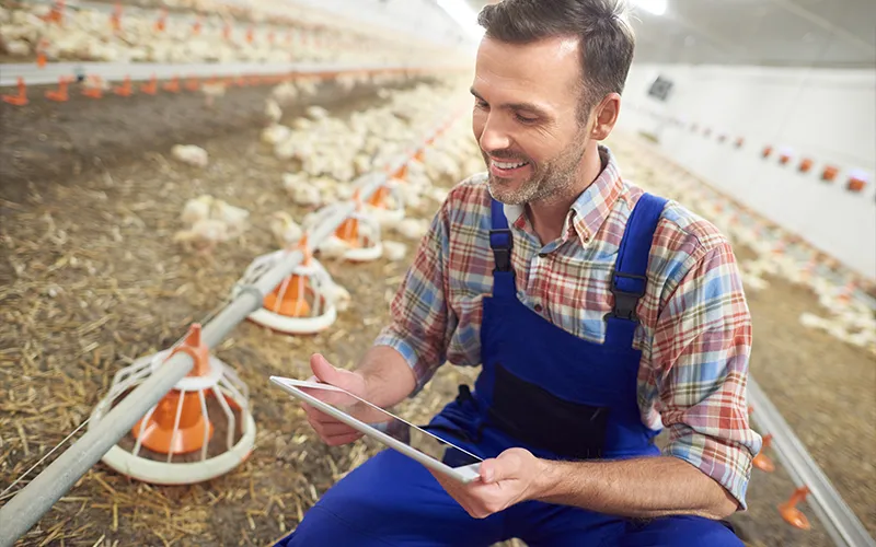 EB-3 Other Workers Lao động phổ thông