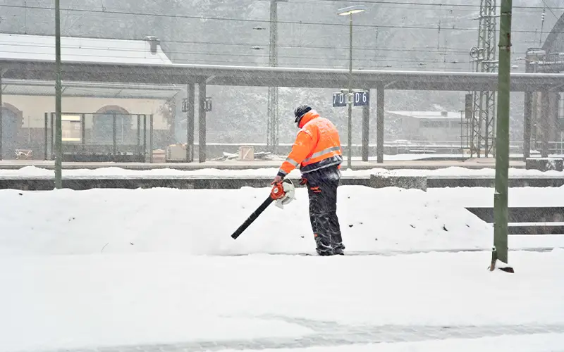 EU Blue Card Nghề thiếu hụt