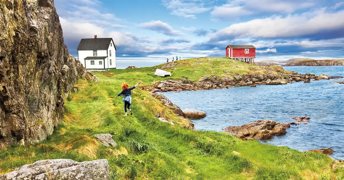 NLPNP mời hơn 240 ứng viên