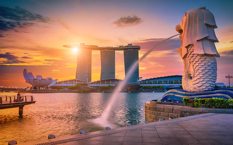 Option A Đầu tư doanh nghiệp