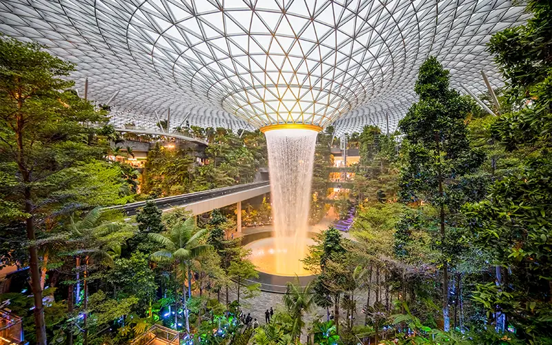 Option C Single Family Office