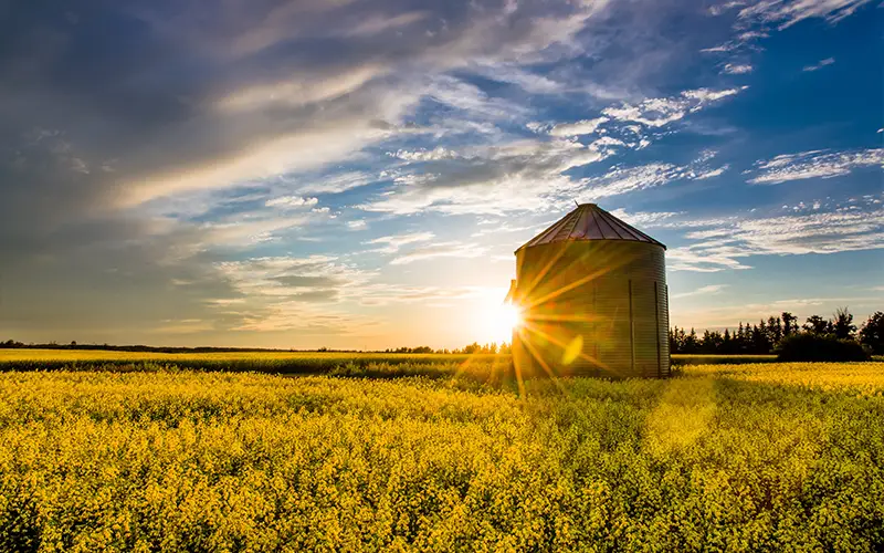 RCIP - Chương trình nhập cư thí điểm cộng đồng nông thôn