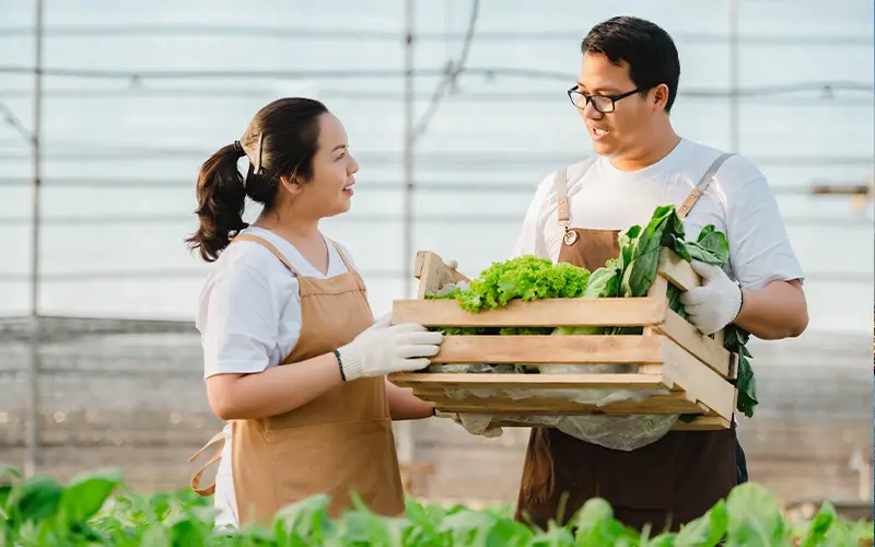 SMC Trades and Technician Pathway