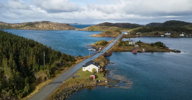 Newfoundland and Labrador gửi 186 thư mời NLPNP và AIP trong đợt thứ năm của năm 2026