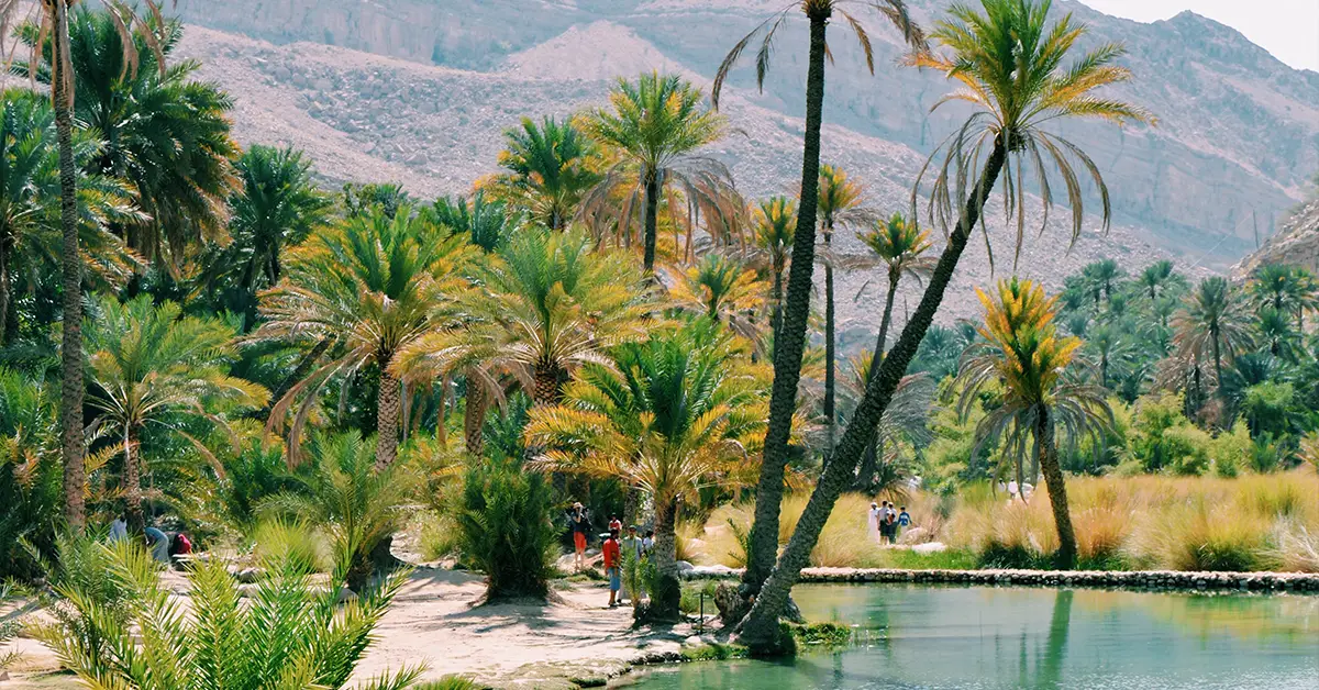 Địa lý UAE